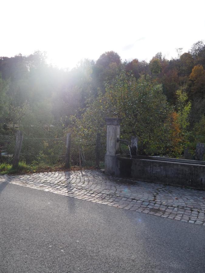 Ferienwohnung Dinkelbergblick Wehr  ภายนอก รูปภาพ